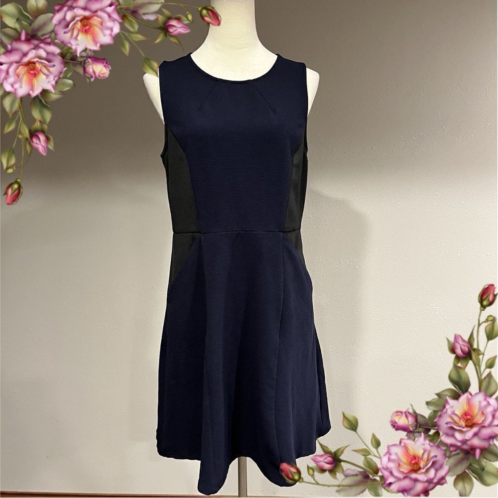 Scoop neck sleeveless skater style Colorblock Dress